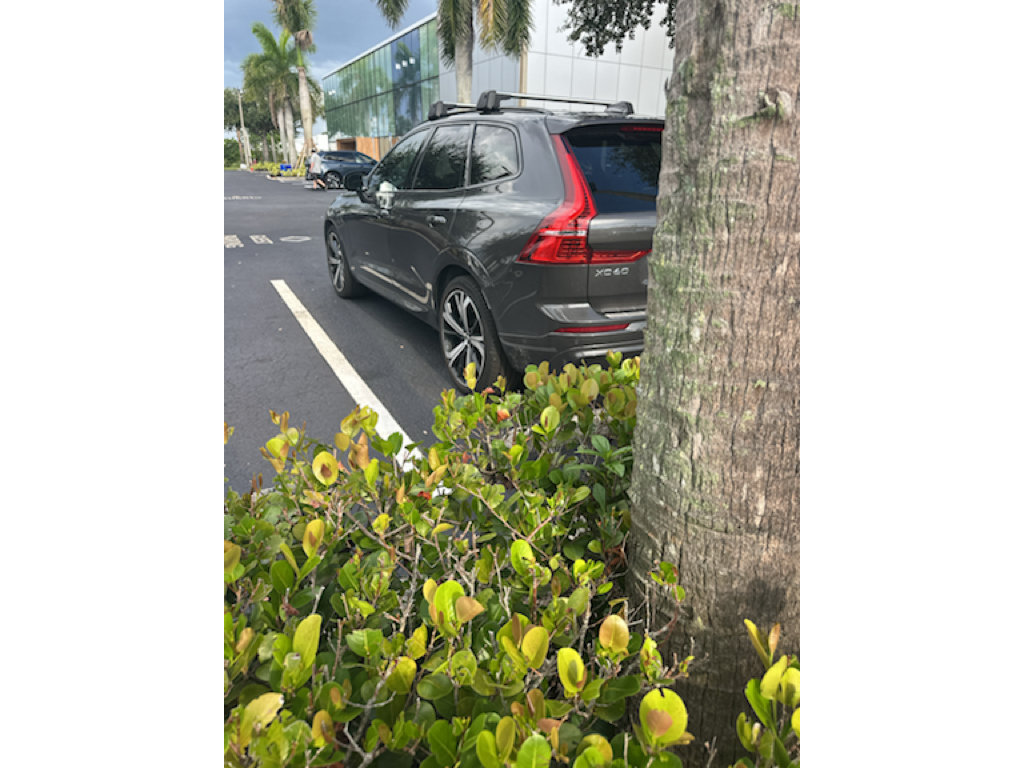 Certified 2024 Volvo XC60 T8 Ultimate w/ Protection Package Premier AWD/4WD image 4
