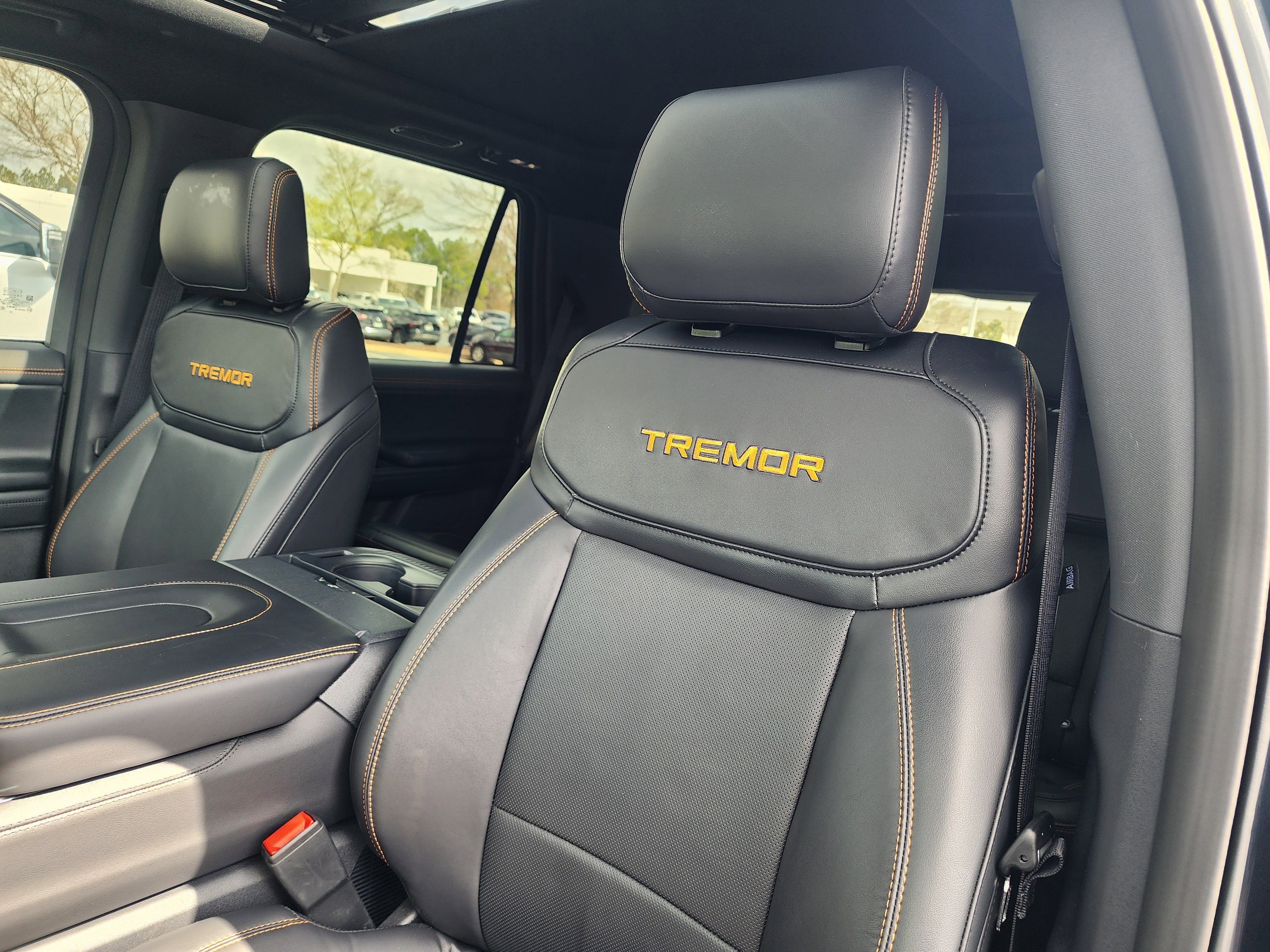 Used 2025 Ford Expedition Tremor image 21