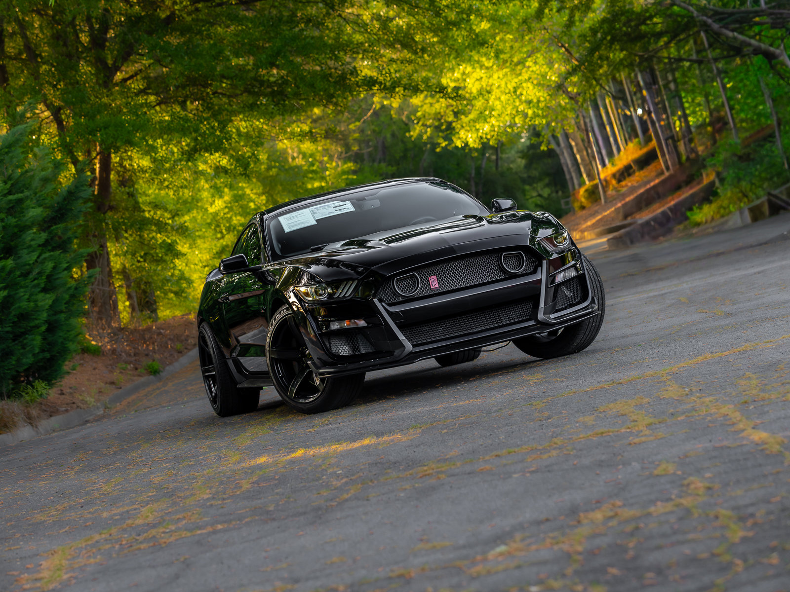 Used 2017 Ford Mustang GT Premium w/ GT Performance Package RWD image 24