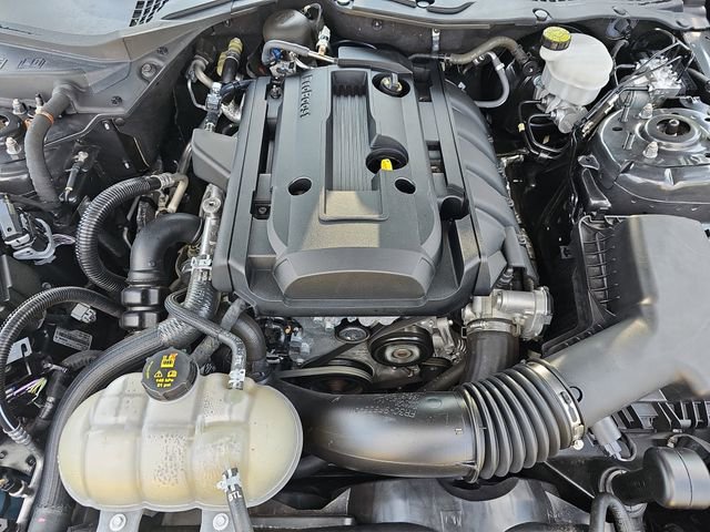 Used 2020 Ford Mustang Premium w/ Equipment Group 201A RWD image 31