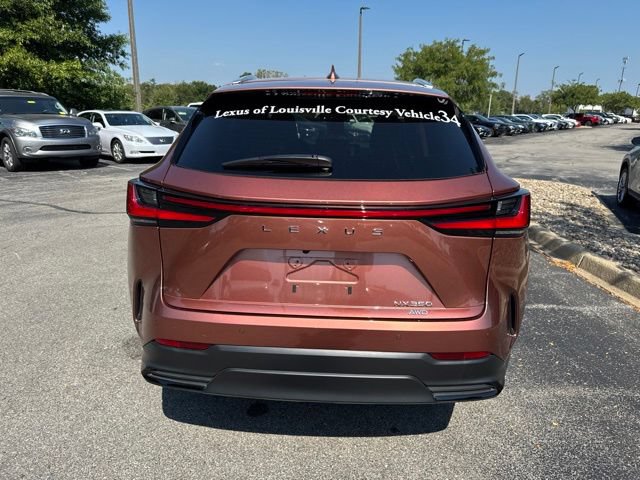 Used 2025 Lexus NX 350 AWD w/ Cold Area Package image 4