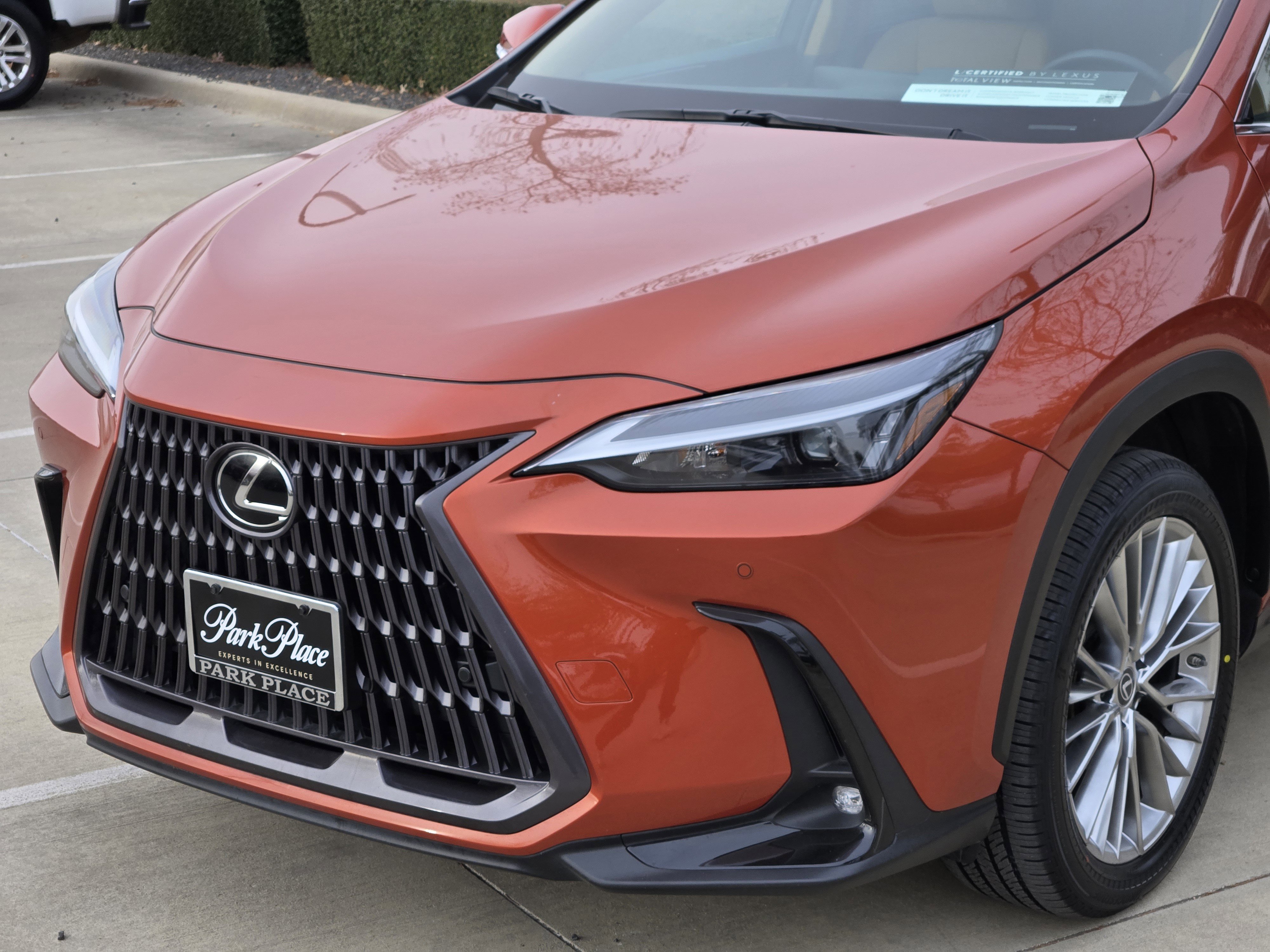 Used 2022 Lexus NX 350h AWD image 10