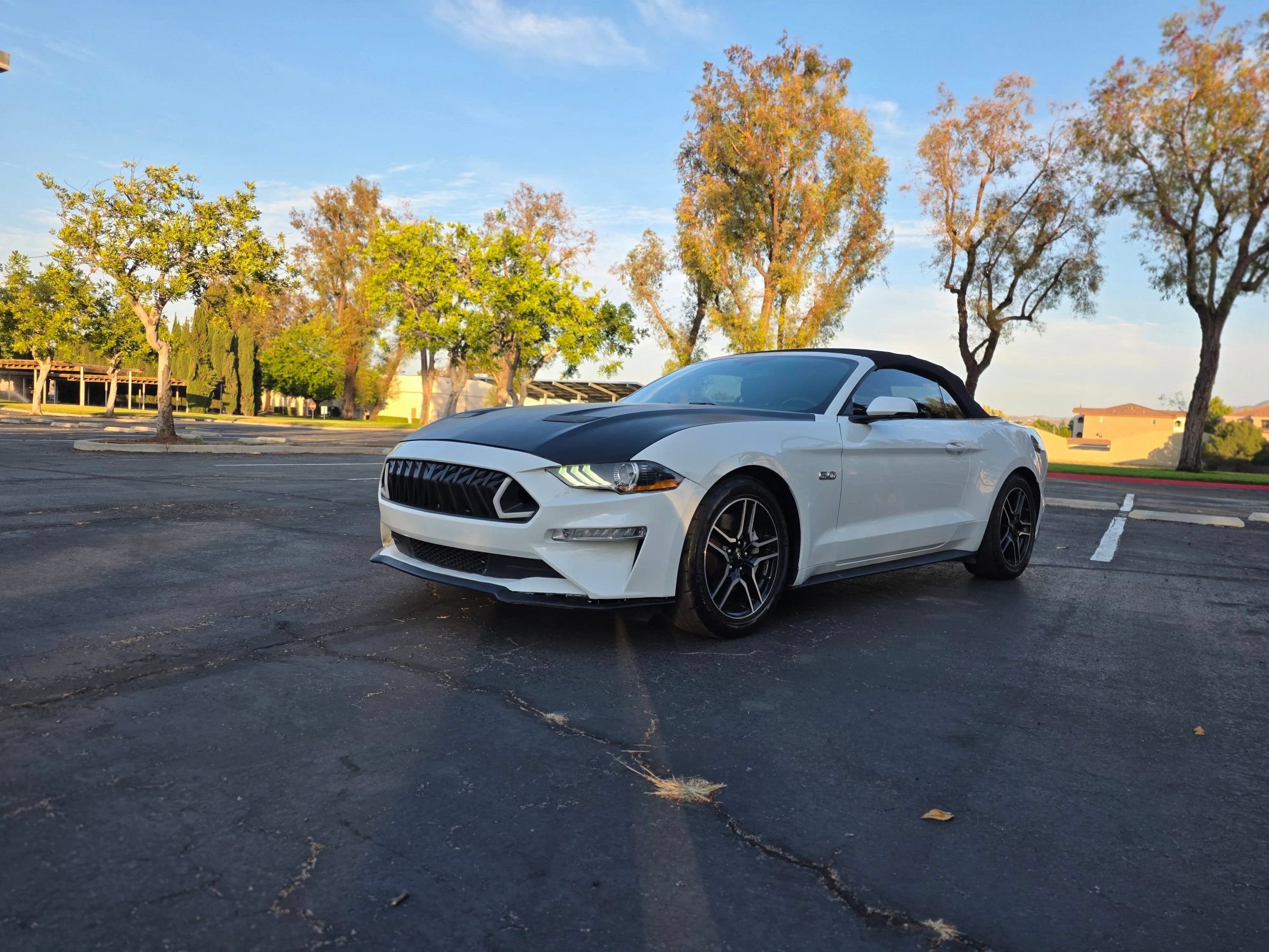 Used 2019 Ford Mustang GT Premium RWD image 7