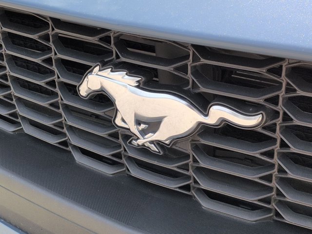 Used 2024 Ford Mustang Premium image 4