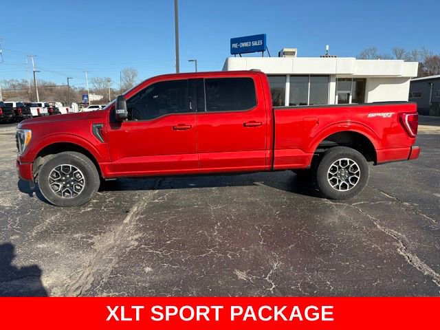 Used 2023 Ford F150 XLT w/ Equipment Group 302A High image 2