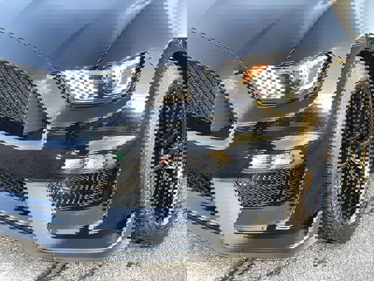 Used 2017 Ford Mustang Shelby GT350 w/ Electronics Package image 34