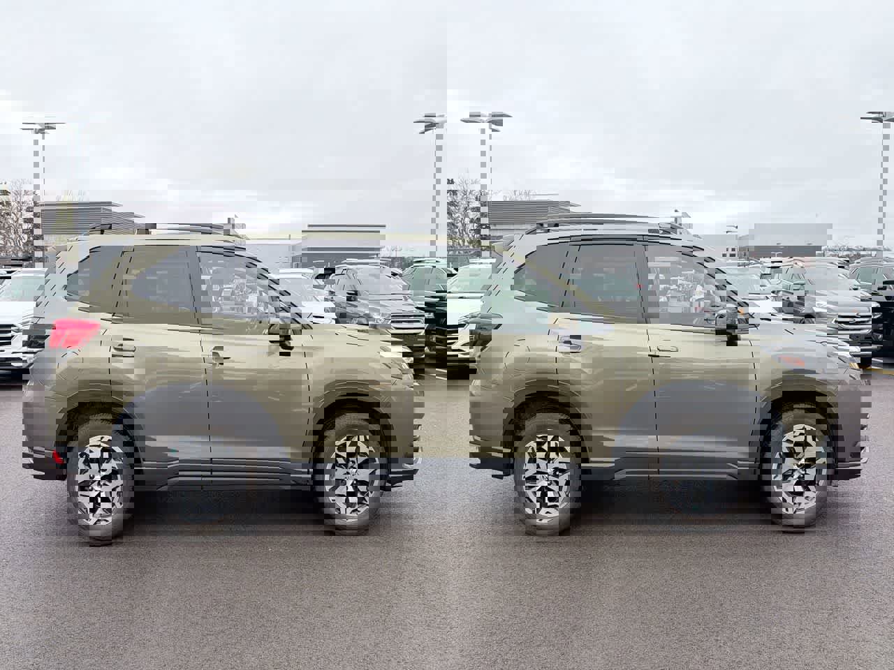 Certified 2024 Subaru Forester Premium image 14