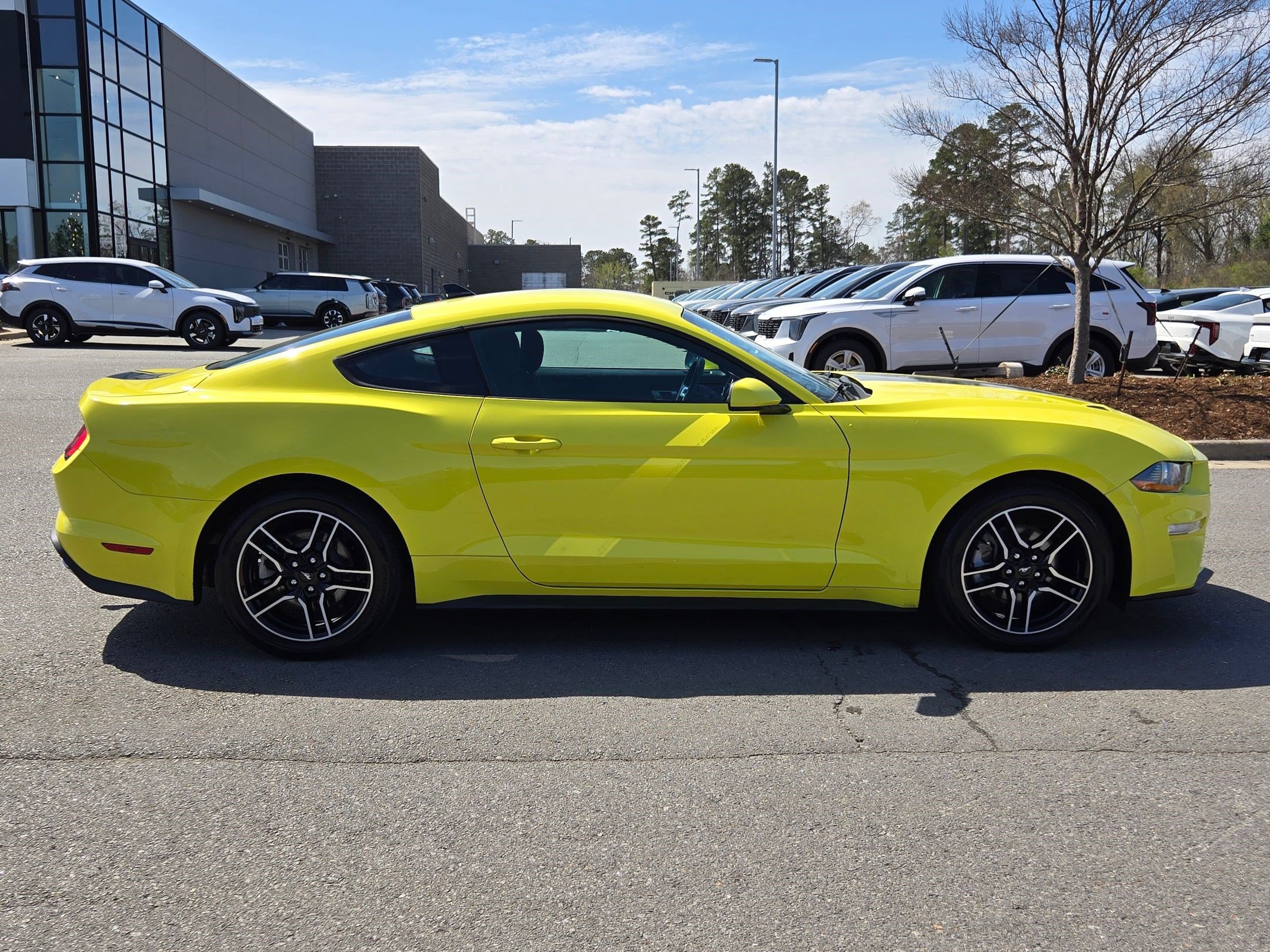 Used 2021 Ford Mustang Coupe w/ Equipment Group 101A image 8