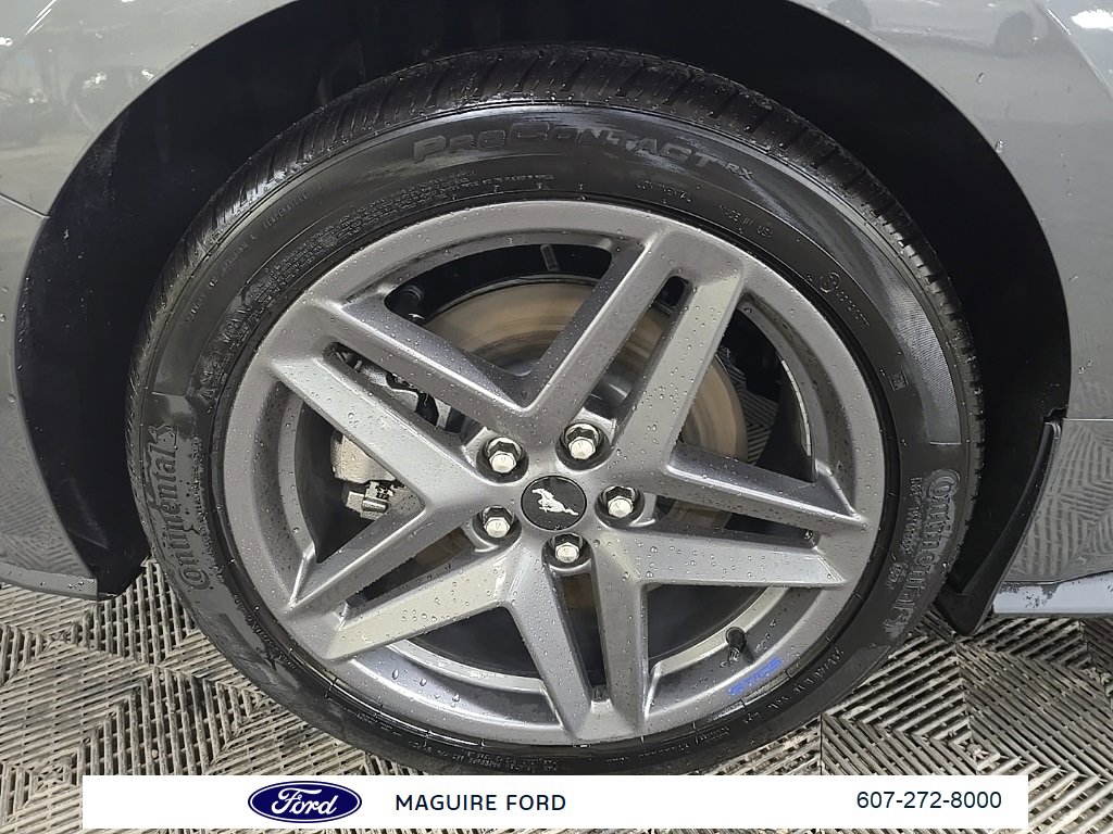 Used 2024 Ford Mustang GT Premium w/ California Special Package image 16