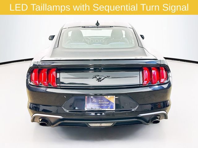 Certified 2023 Ford Mustang Coupe w/ Equipment Group 101A RWD image 19