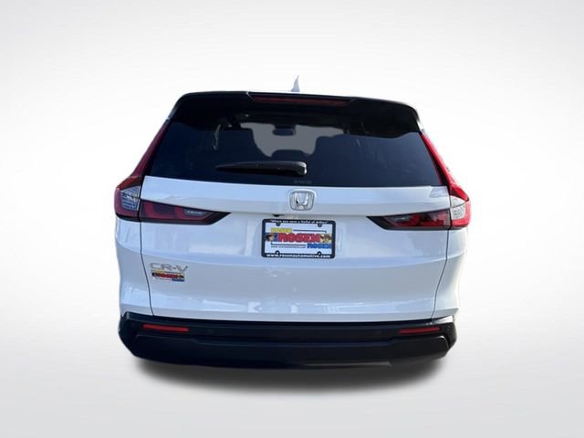 Certified 2024 Honda CR-V EX-L image 4