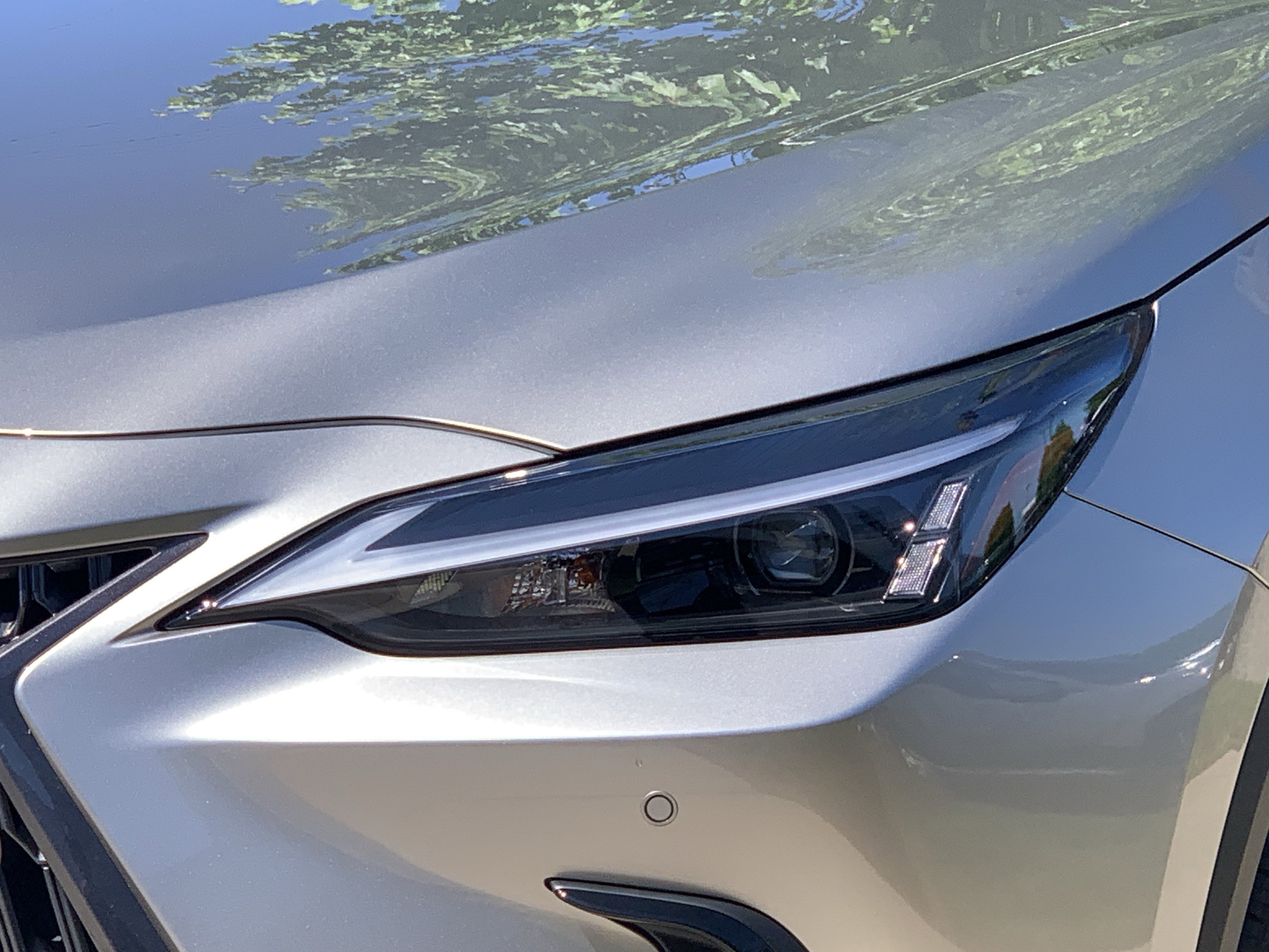 Certified 2026 Lexus NX 350 AWD w/ Cold Area Package image 6