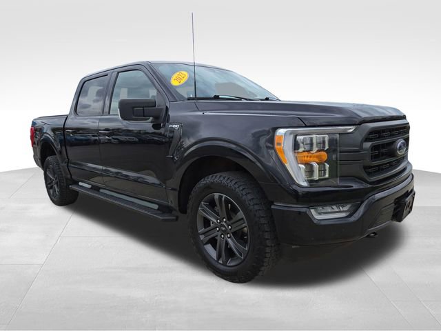 Used 2023 Ford F150 XLT w/ Equipment Group 302A High AWD/4WD image 1