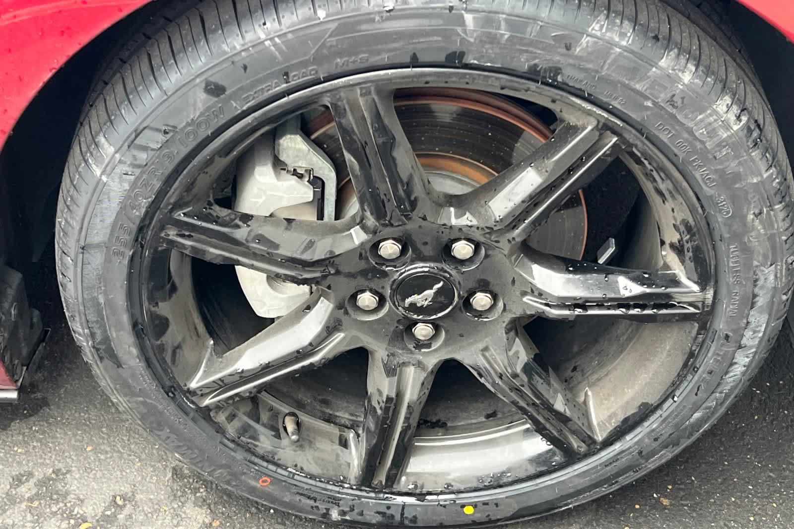 Used 2019 Ford Mustang Premium w/ Equipment Group 201A RWD image 15