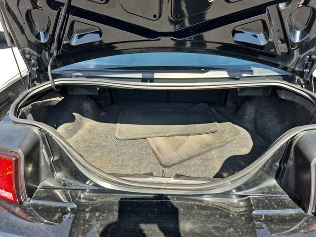 Used 2001 Ford Mustang Cobra RWD image 19