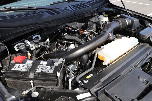 Used 2025 Ford F150 XLT w/ Equipment Group 301A Standard AWD/4WD image 4
