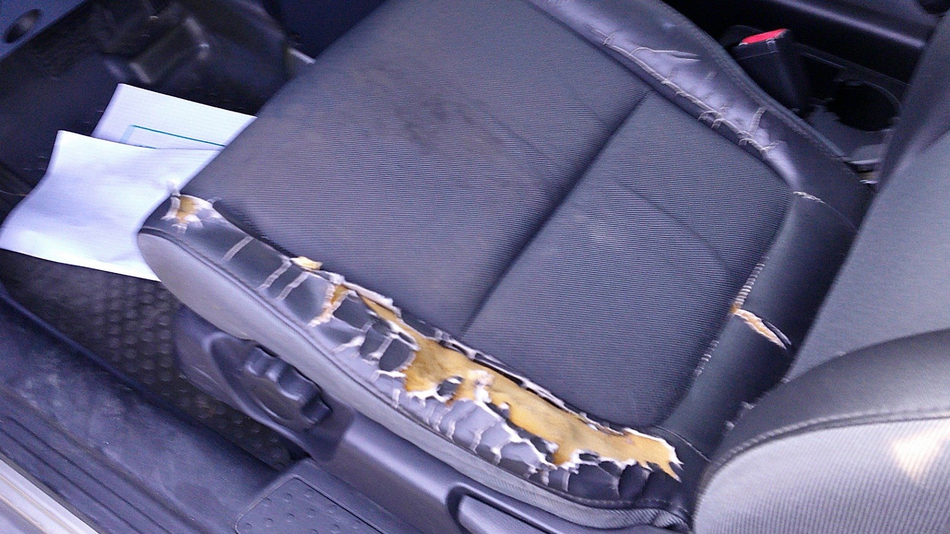 Used 2004 Honda Element EX image 6