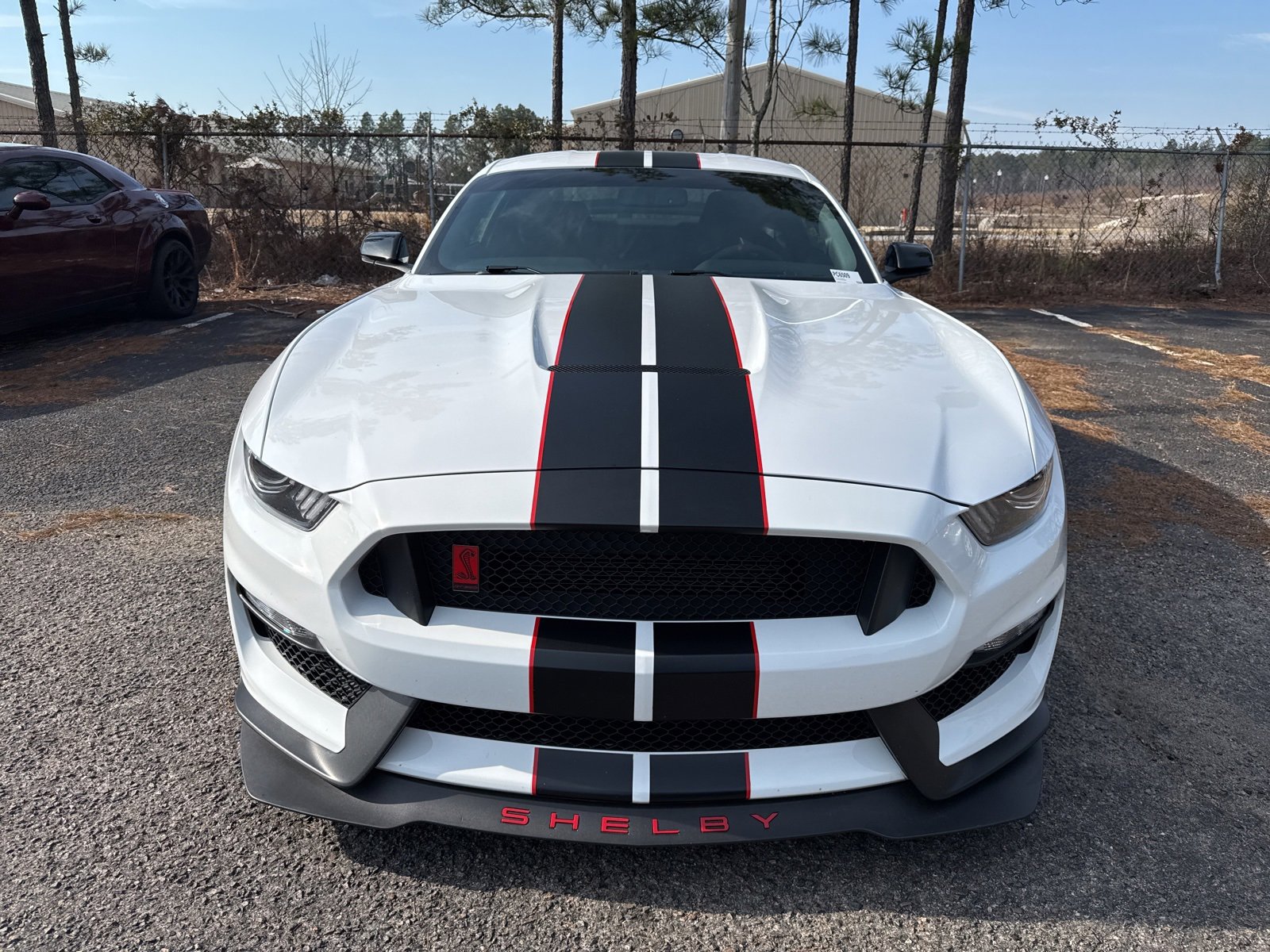 Used 2017 Ford Mustang Shelby GT350R w/ GT350R Equipment Group 920A image 2