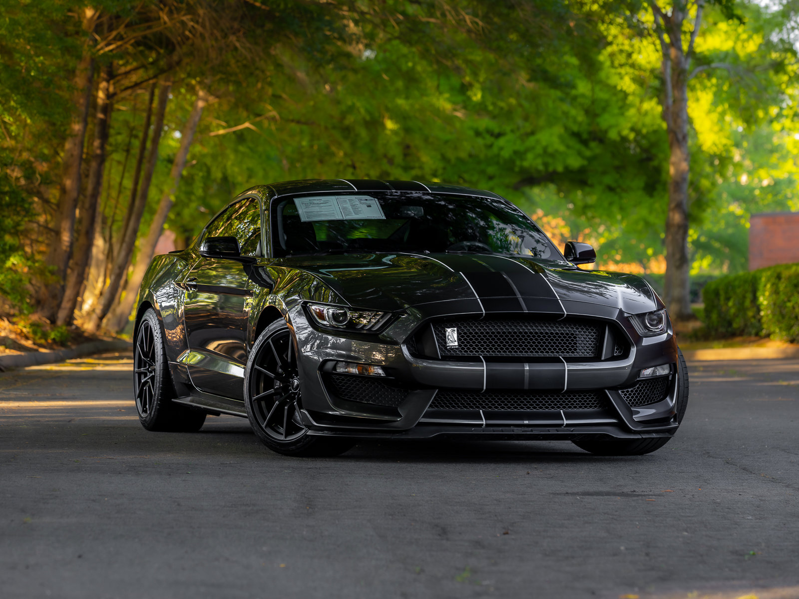 Used 2016 Ford Mustang Shelby GT350 w/ Technology Package RWD image 1