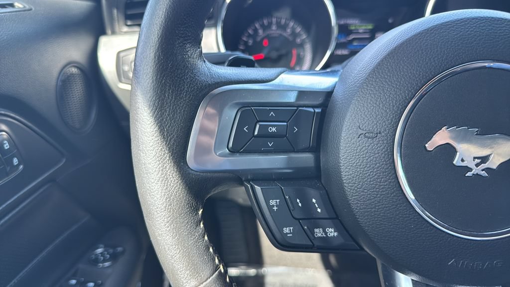 Used 2015 Ford Mustang Premium w/ Equipment Group 201A RWD image 19