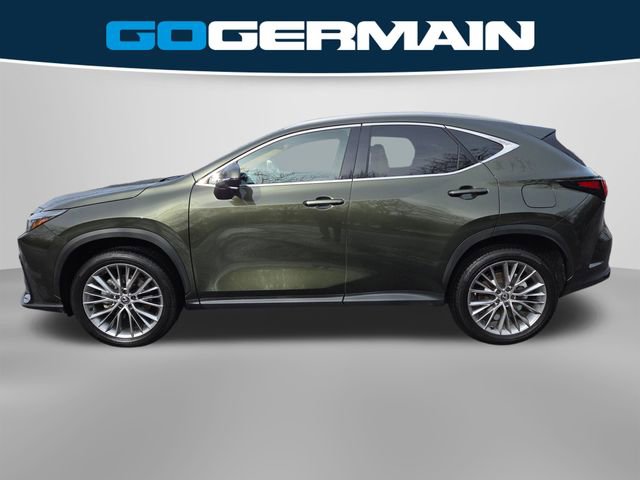 Certified 2025 Lexus NX 350 AWD w/ Cold Area Package image 10