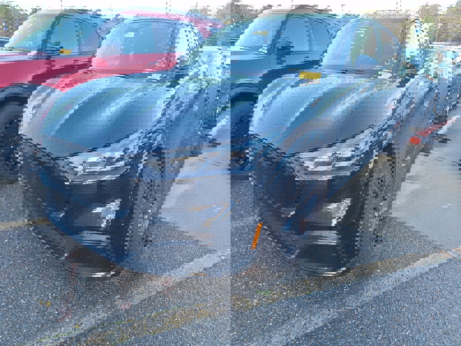 Used 2023 Ford Mustang Mach-E Premium w/ Mustang Nite Pony Package image 3