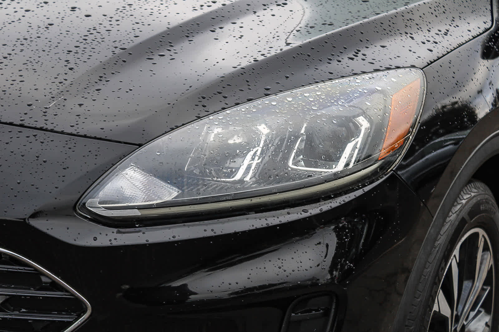 Used 2022 Ford Escape SE w/ SE Sport Appearance Package image 8