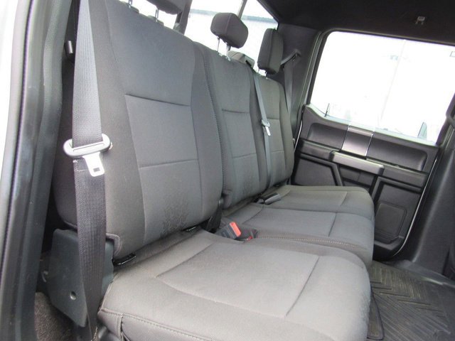 Used 2019 Ford F150 XLT w/ Equipment Group 302A Luxury AWD/4WD image 20