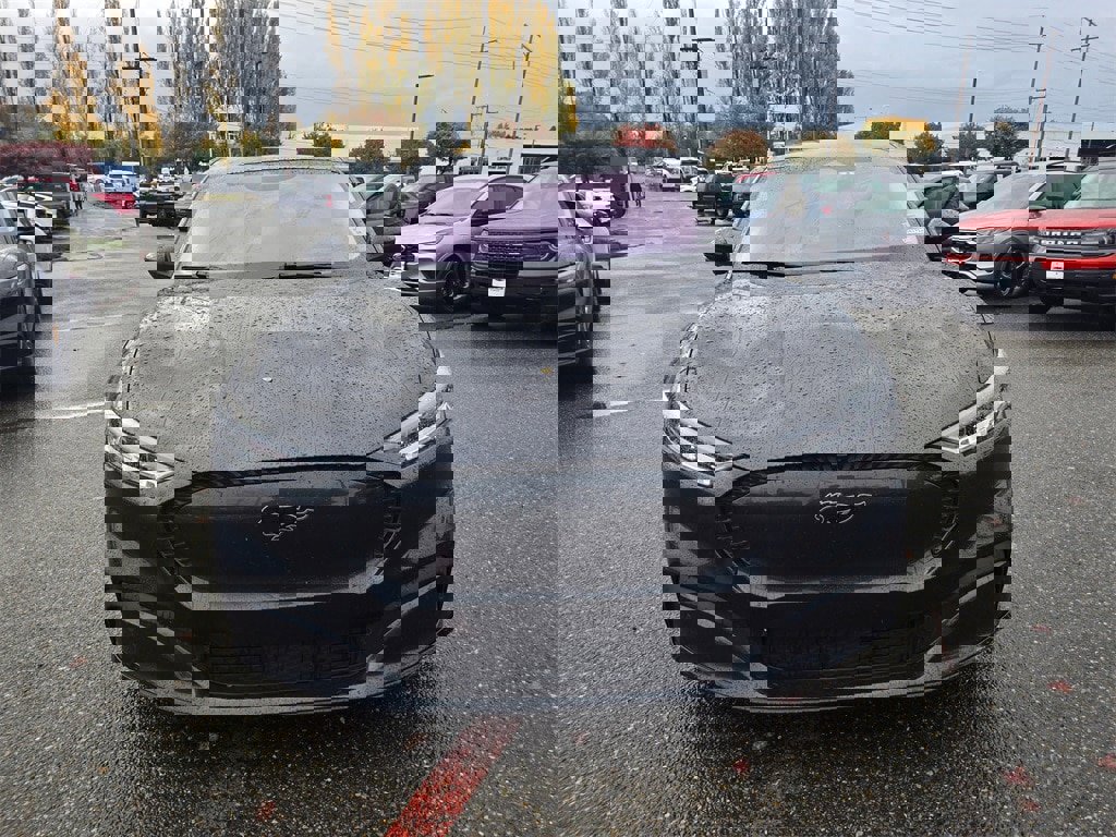 Used 2021 Ford Mustang Mach-E California Route 1 image 2