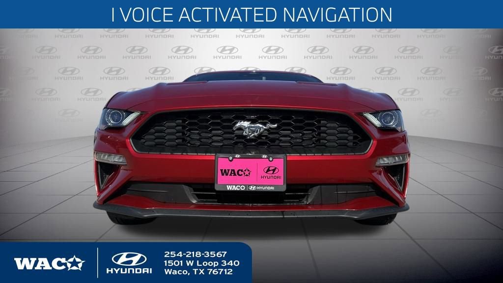 Used 2022 Ford Mustang Premium w/ Equipment Group 201A image 5