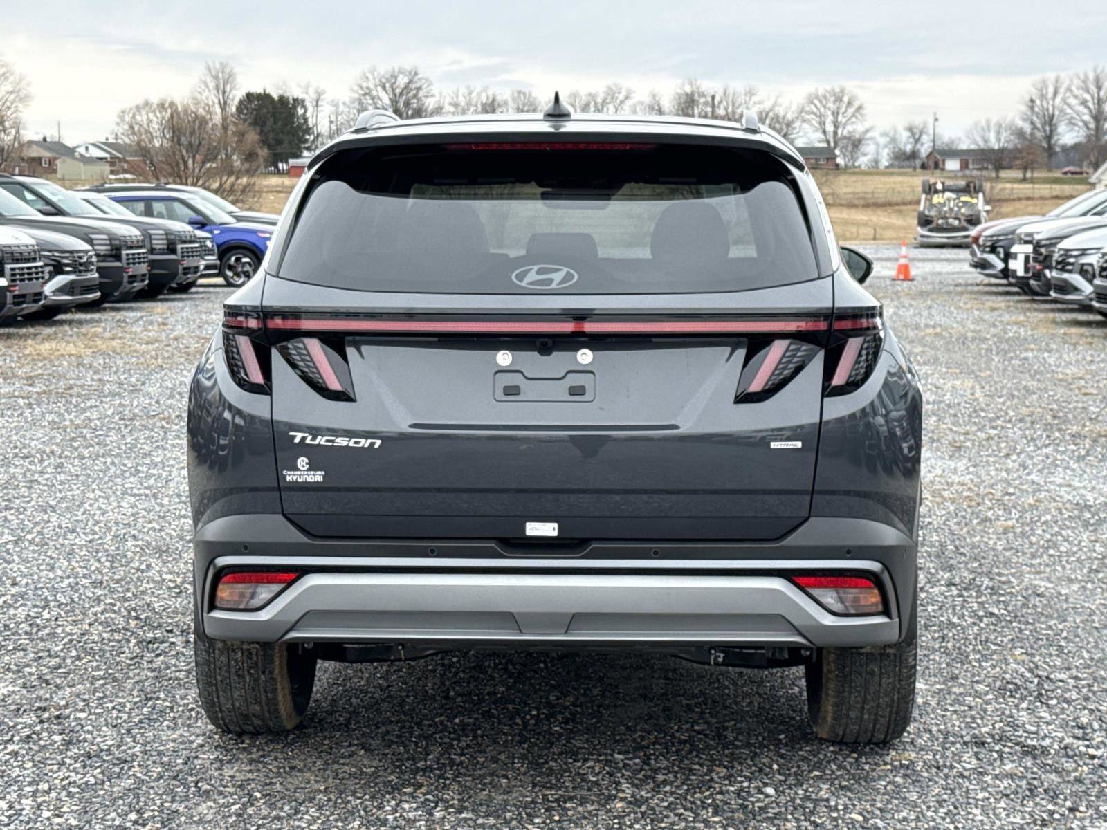 New 2026 Hyundai Tucson Limited AWD/4WD image 14