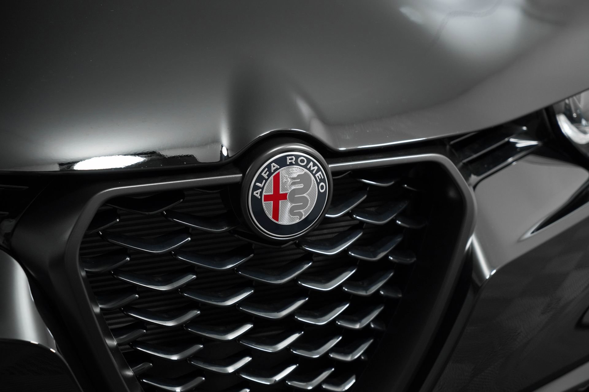 New 2025 Alfa Romeo Tonale w/ Premium Package image 17