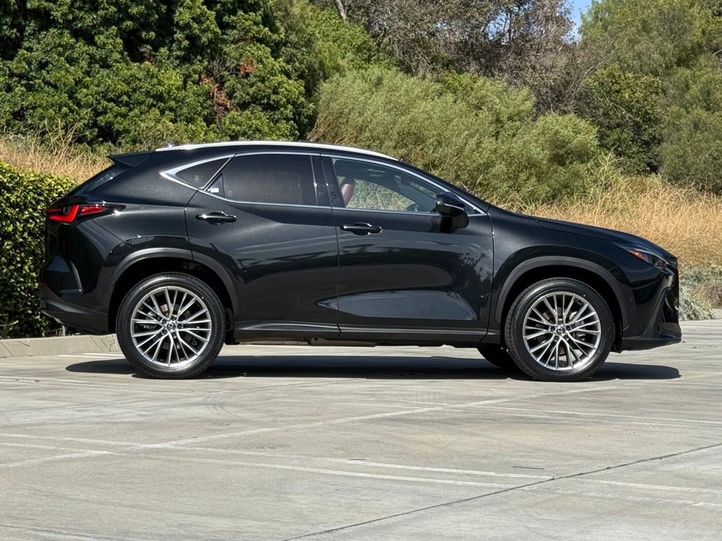 Certified 2024 Lexus NX 350h AWD w/ Vision Package image 10