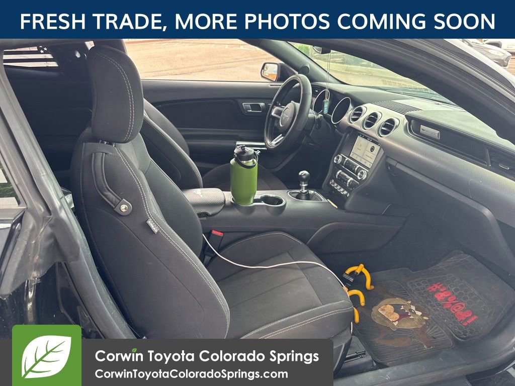Used 2019 Ford Mustang GT w/ Equipment Group 301A RWD image 10
