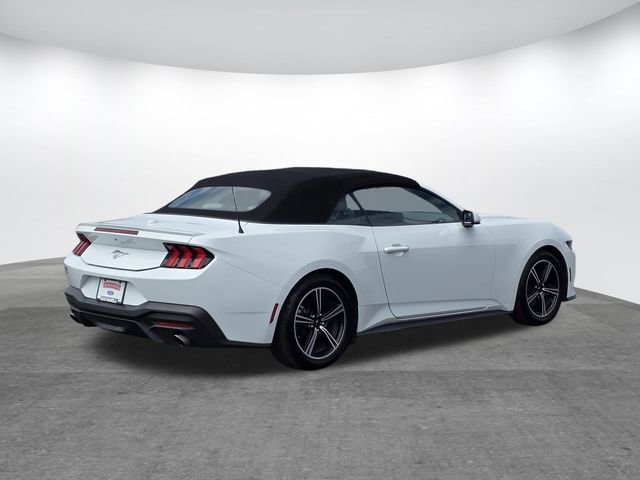 Used 2024 Ford Mustang Premium RWD image 5