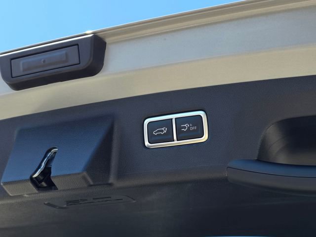 New 2025 Kia Sorento X-Line EX image 4