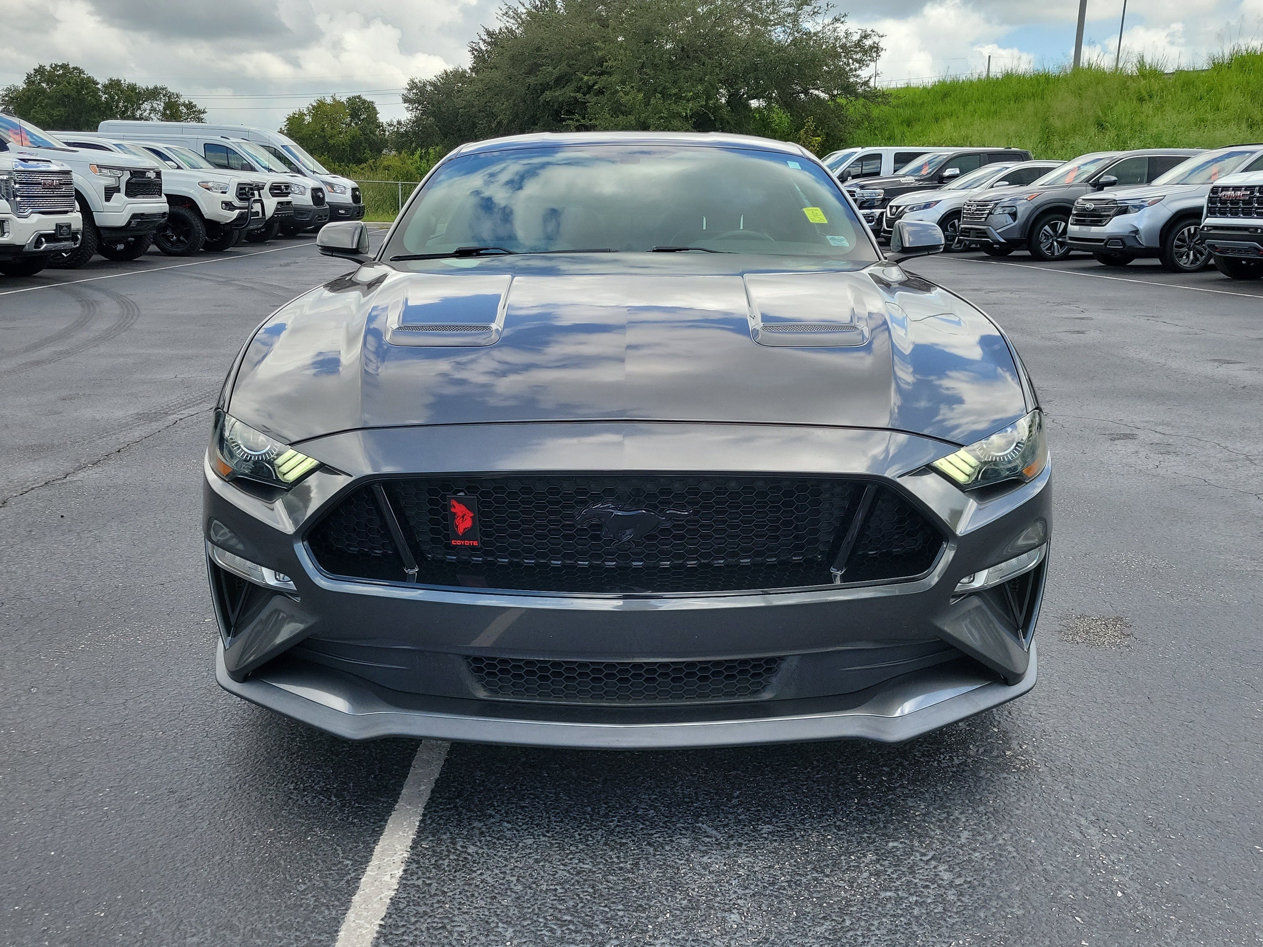 Used 2019 Ford Mustang GT Premium w/ Equipment Group 401A RWD image 2