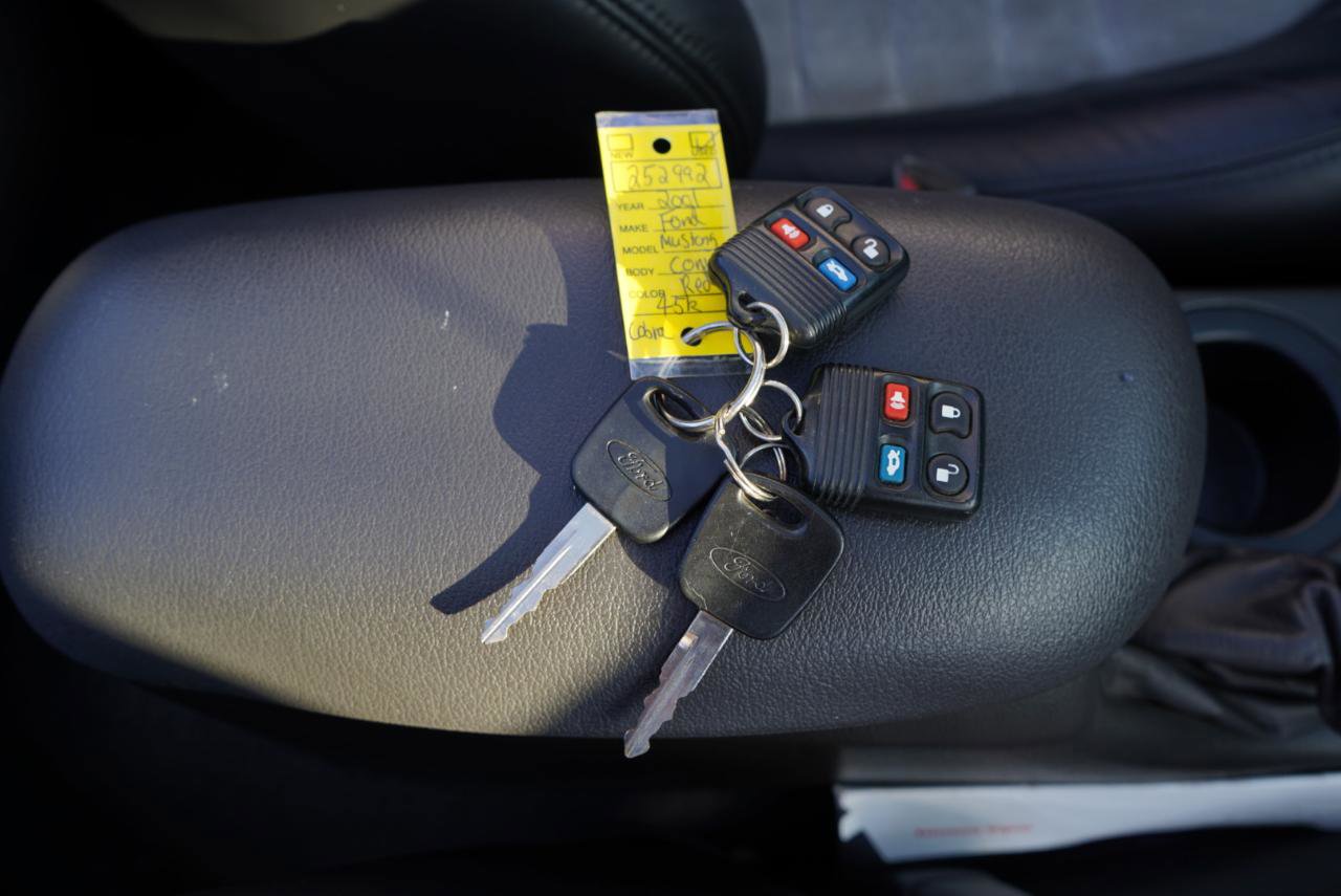 Used 2001 Ford Mustang Cobra image 54