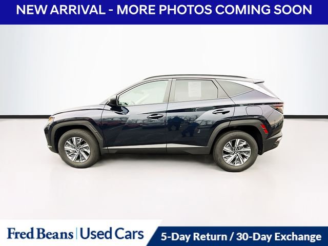 Used 2023 Hyundai Tucson Blue image 4