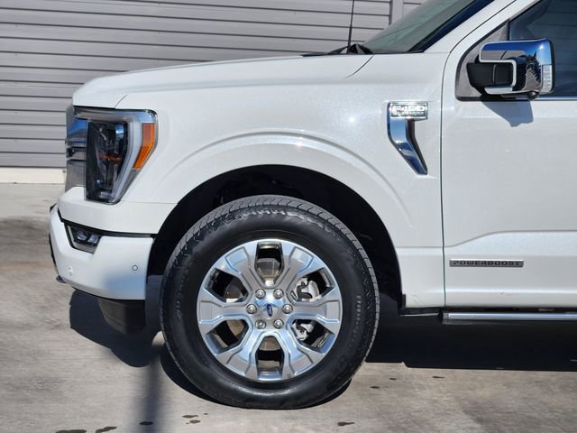 Used 2023 Ford F150 Platinum w/ Equipment Group 701A High AWD/4WD image 9