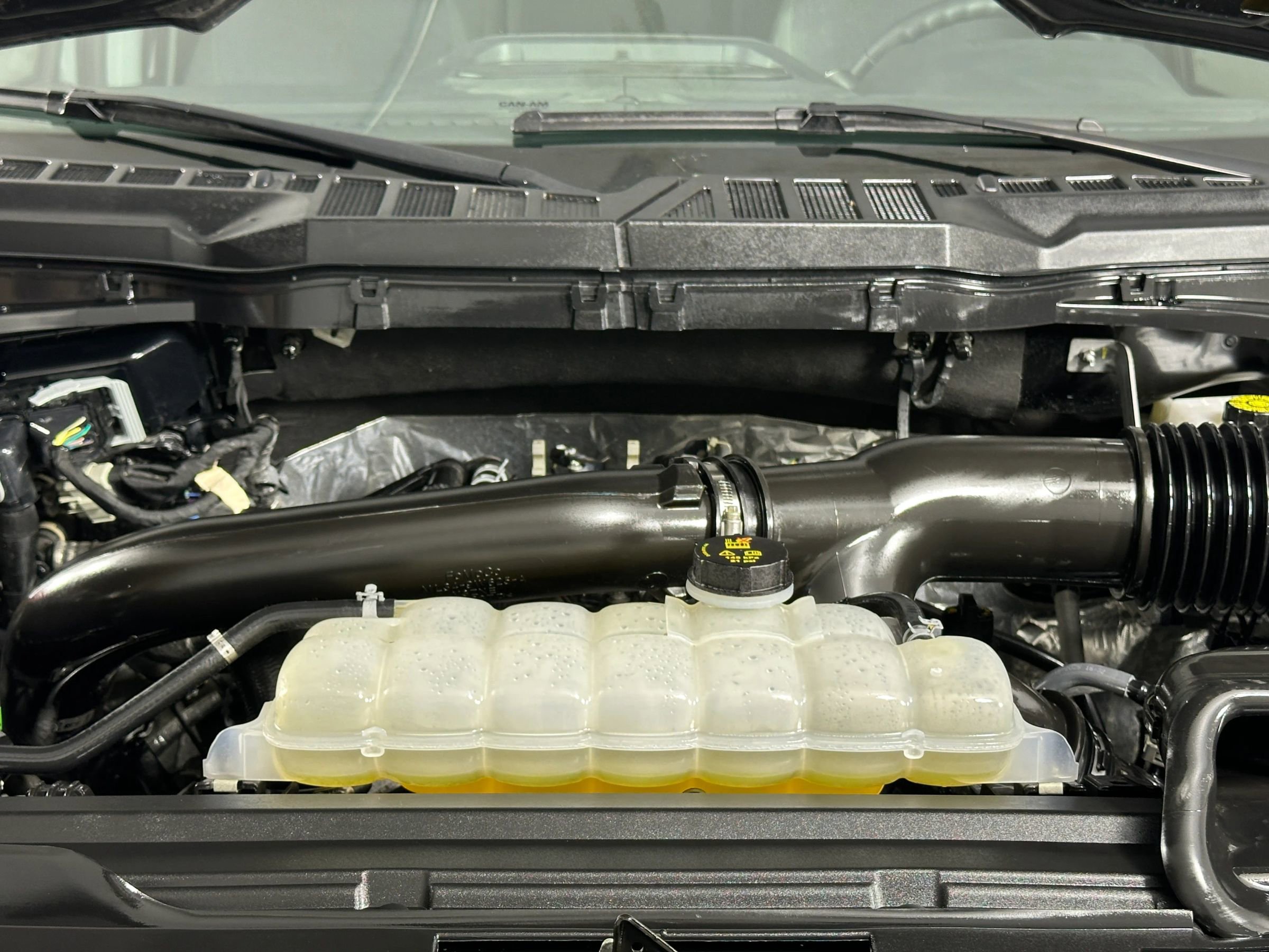 Used 2025 Ford F150 XLT w/ Equipment Group 301A Standard AWD/4WD image 22