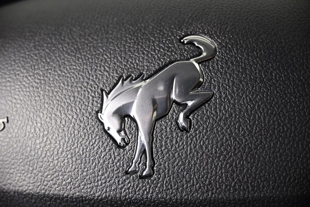 Used 2023 Ford Bronco Sport Big Bend w/ Convenience Package image 37