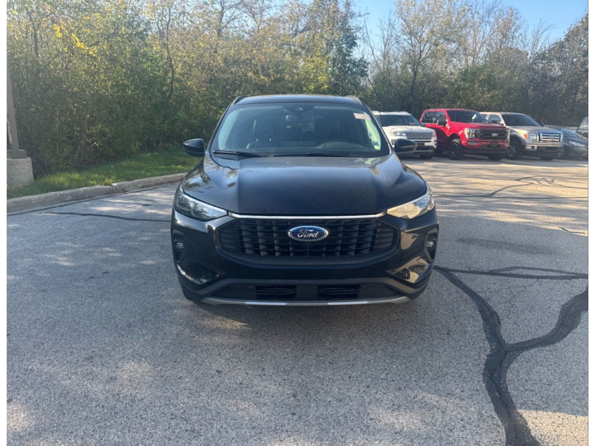 Used 2025 Ford Escape Platinum AWD/4WD image 2