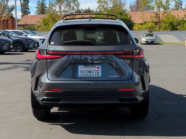 Used 2025 Lexus NX 250 FWD w/ Accessory Package (2T) image 6