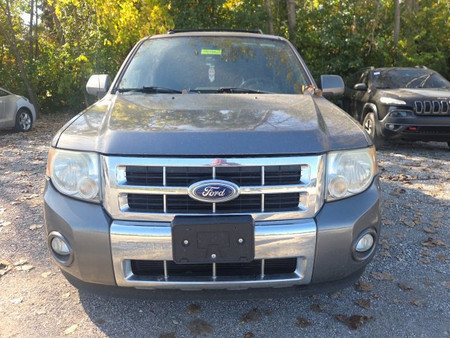 Used 2010 Ford Escape Limited AWD/4WD image 3