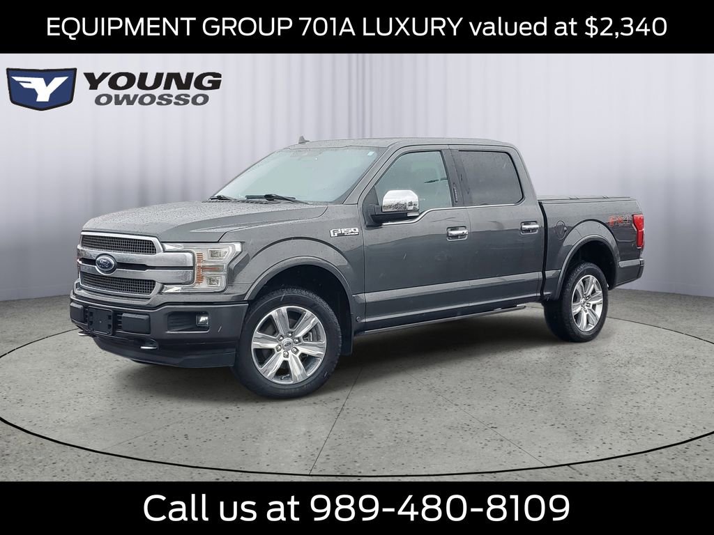 Used 2020 Ford F150 Platinum w/ Equipment Group 701A Luxury image 1