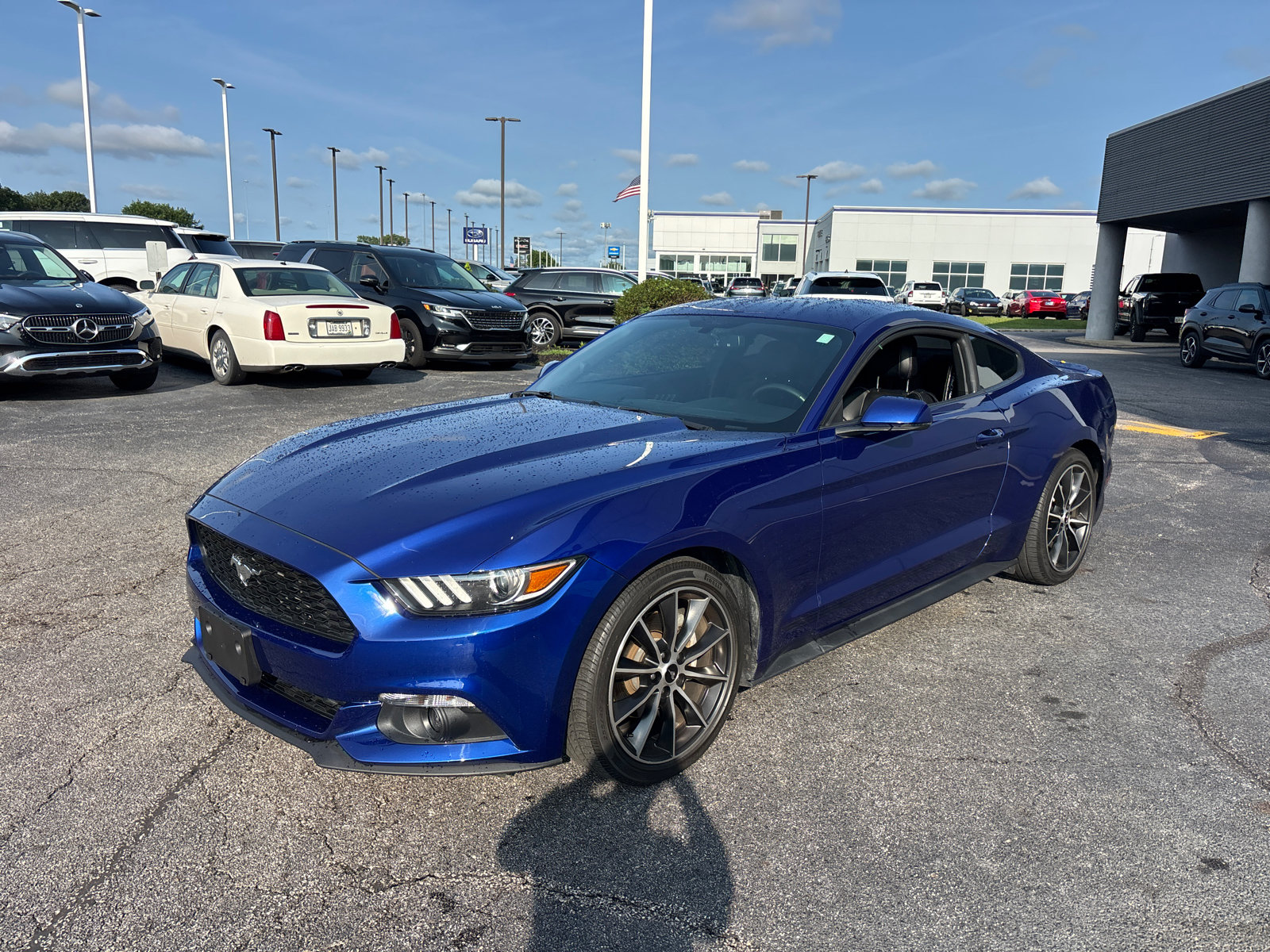 Used 2016 Ford Mustang Premium w/ Wheel & Stripe Package RWD image 3
