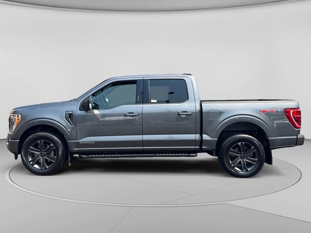 Used 2023 Ford F150 XLT w/ Equipment Group 302A High AWD/4WD image 2