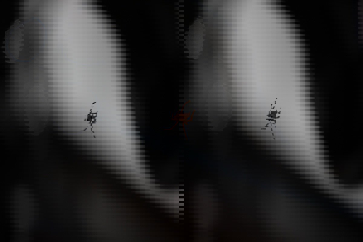 Used 2015 Honda Civic EX-L image 13