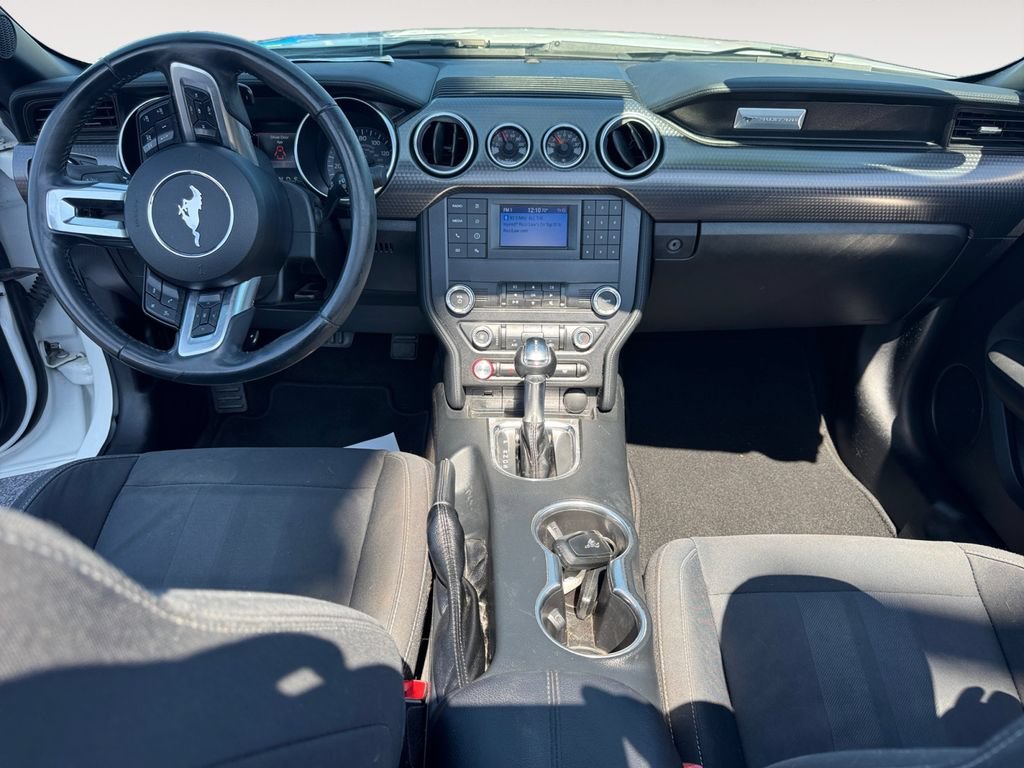 Used 2019 Ford Mustang Convertible w/ Ecoboost Performance Package RWD image 10